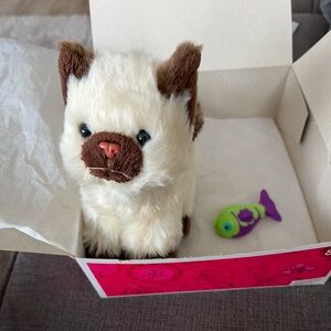 American Girl Himalayan Kitten